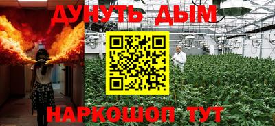 стафф Будённовск