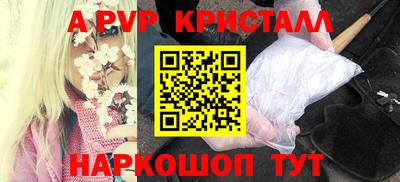 стафф Будённовск
