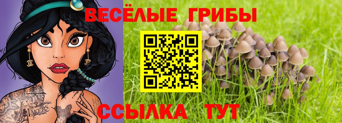 Галлюциногенные грибы GOLDEN TEACHER  Вход с VPN  Псилоцибиновые грибы Psilocybine cubensis  Сорочинск 